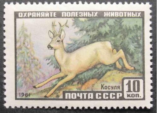 Марка 2537 Фауна СССР. Косуля. MNH ★★. 1961 год.